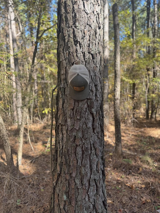 0 County Road 2350, Guntown, MS 38849 - photo 4