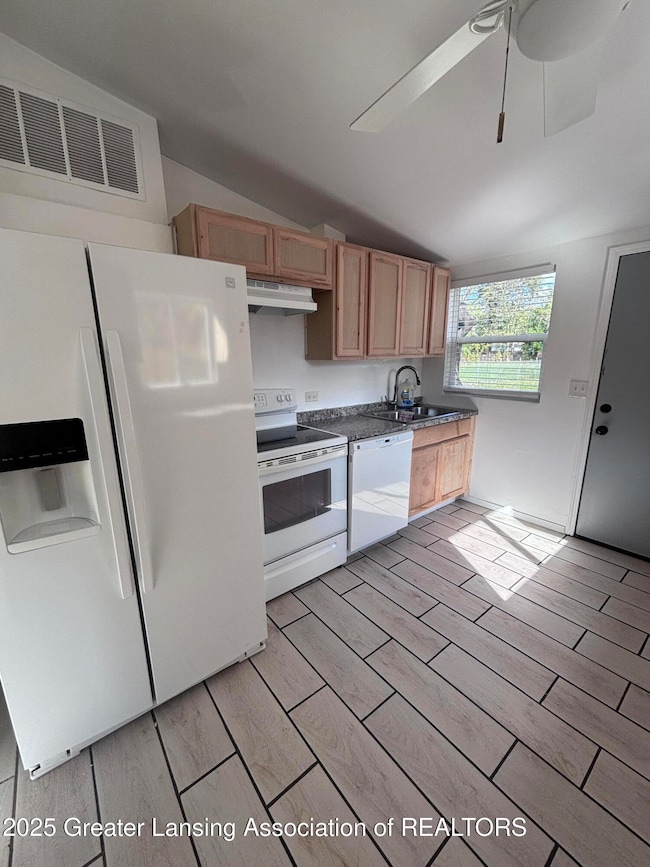 4017 Richmond St, Lansing, MI 48911 - photo 6