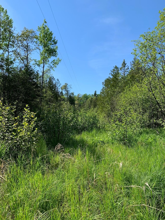 0 W Epoufette Bay Rd unit 7.6 Acres 201816422, Epoufette, MI 49762 - photo 6