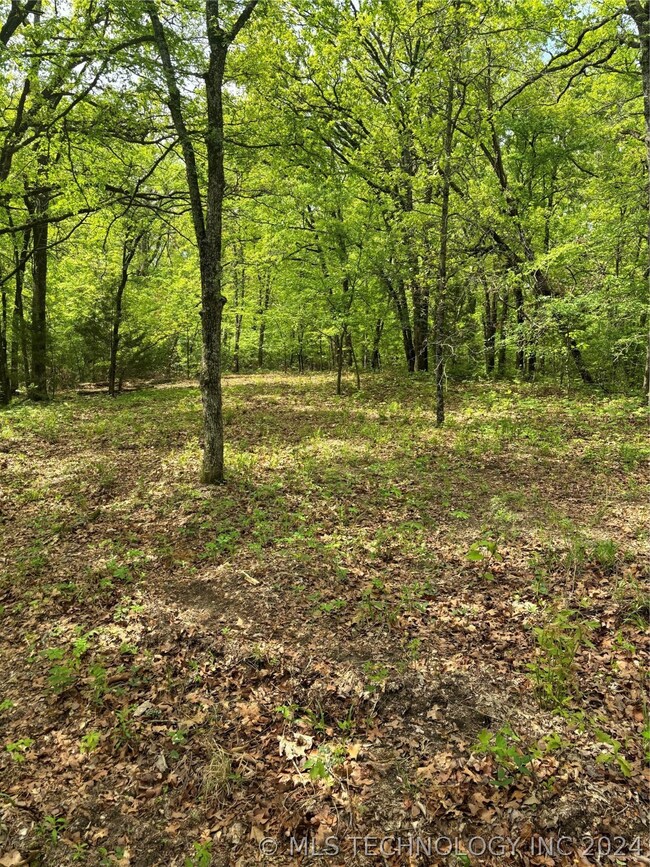 0 W Mt Carmel Rd unit 2413375, Atoka, OK 74525 - photo 5