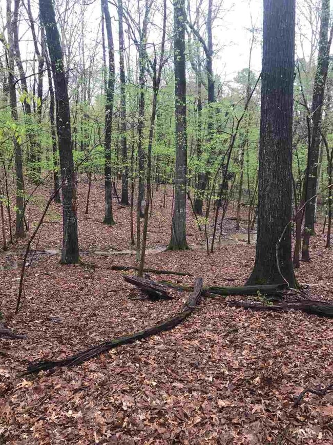 10810 Raleigh Lagrange Rd E, Eads, TN 38028 - photo 7