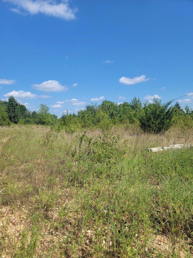00 N Orchard Blvd, Fair Grove, MO 65648 - photo 2