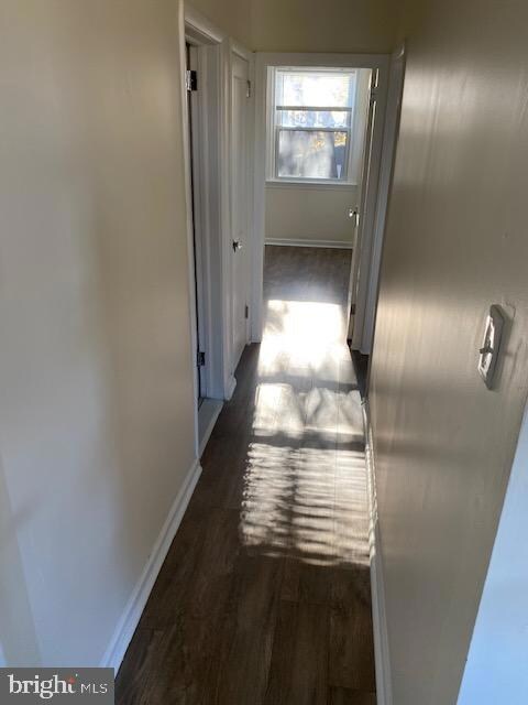 3850 Brunswick Ave unit 1, Drexel Hill, PA 19026 - photo 5