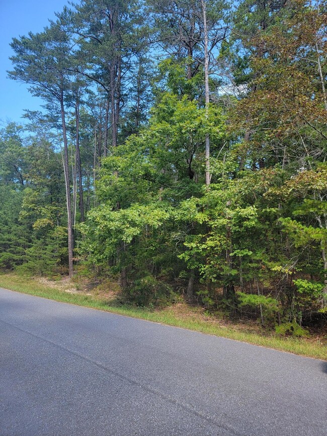 2985 New Ridge Rd, Elliston, VA 24087 - photo 2