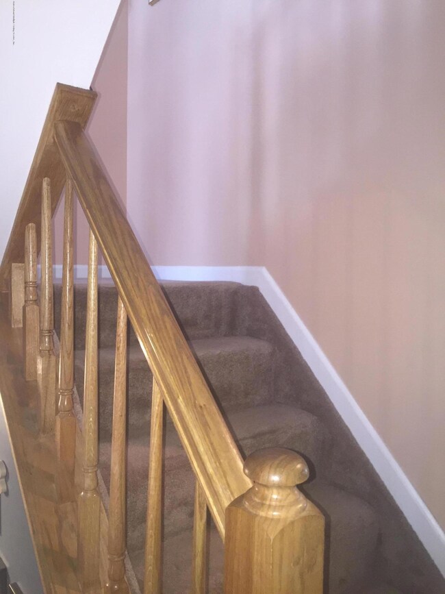 49 Halpin Ave, Staten Island, NY 10312 - photo 5