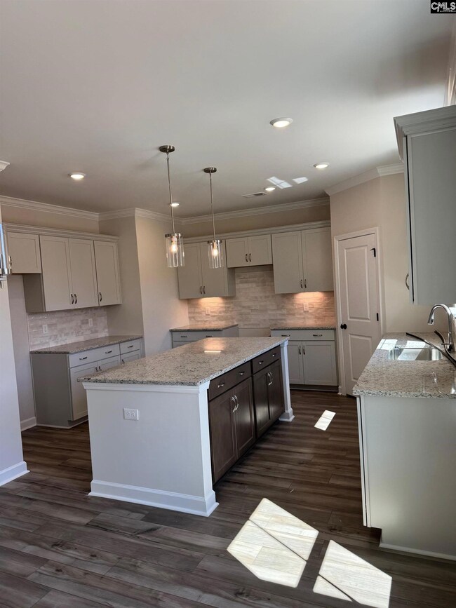 387 Rising Stream Way, Chapin, SC 29036 - photo 3