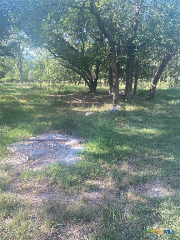 3141 Nibling Ln, Temple, TX 76502 - photo 2