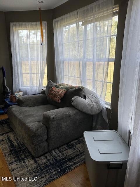 Family room bay window
