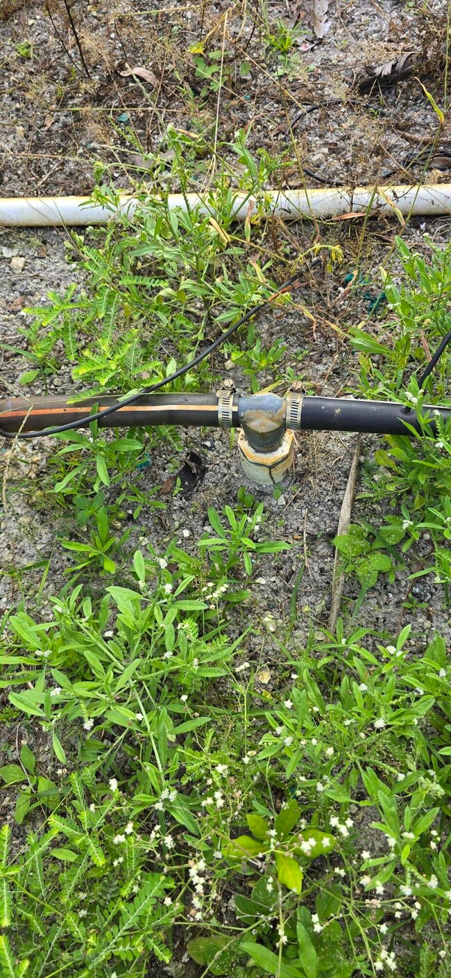 15720 Okeechobee Blvd, Loxahatchee Groves, FL 33470 - photo 4