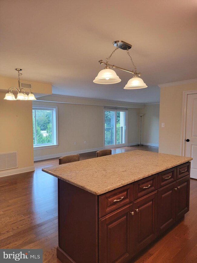 260 Montgomery Ave unit 404, Haverford, PA 19041 - photo 5