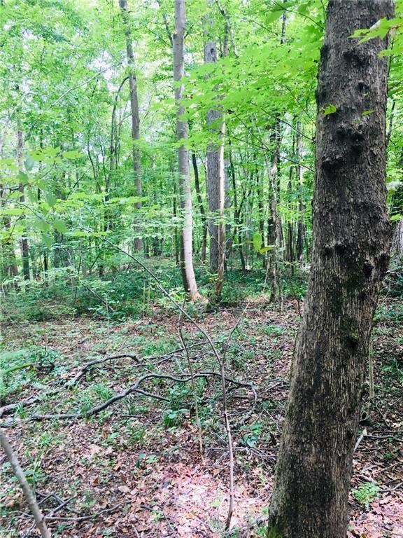 5723 Lou Cranford Rd, Denton, NC 27239 - photo 6