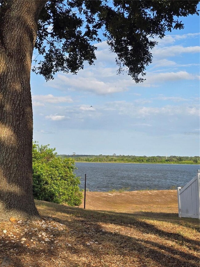 Lake Smart