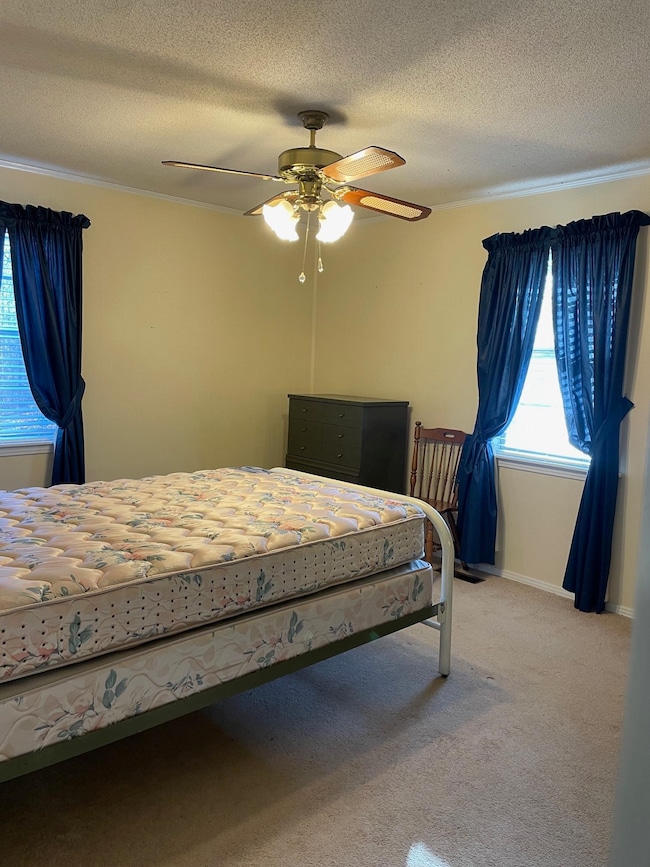 131 Freedom Hills Rd, Red Bay, AL 35582 - photo 7