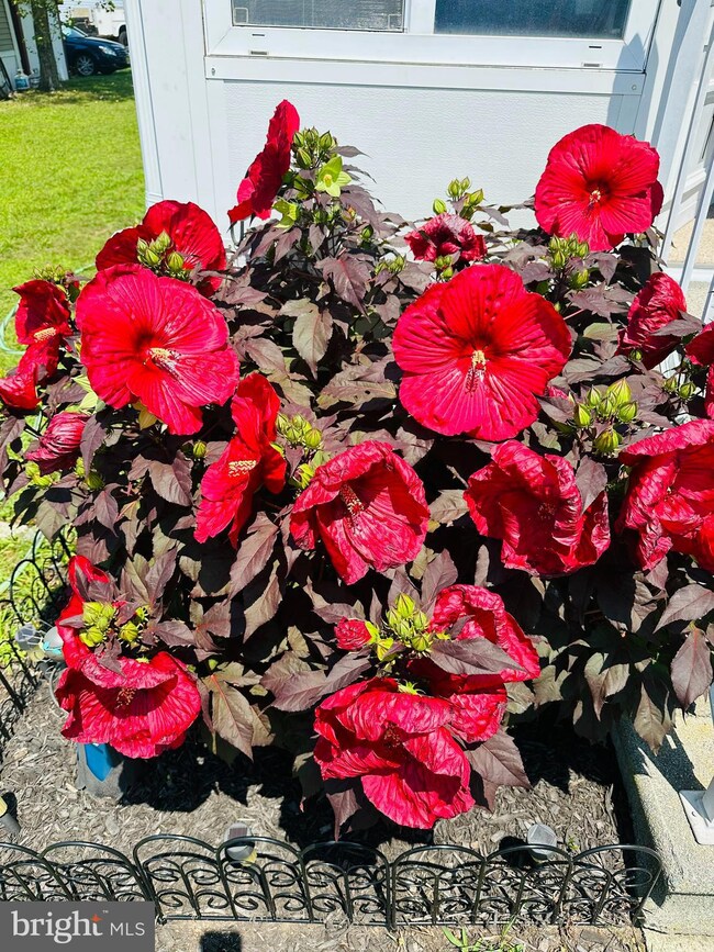 1 Holly Rd, West Creek, NJ 08092 - photo 4