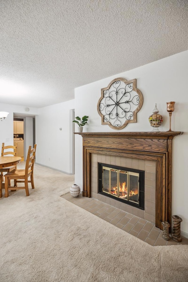 14601 Atrium Way unit 329, Minnetonka, MN 55345 - photo 4