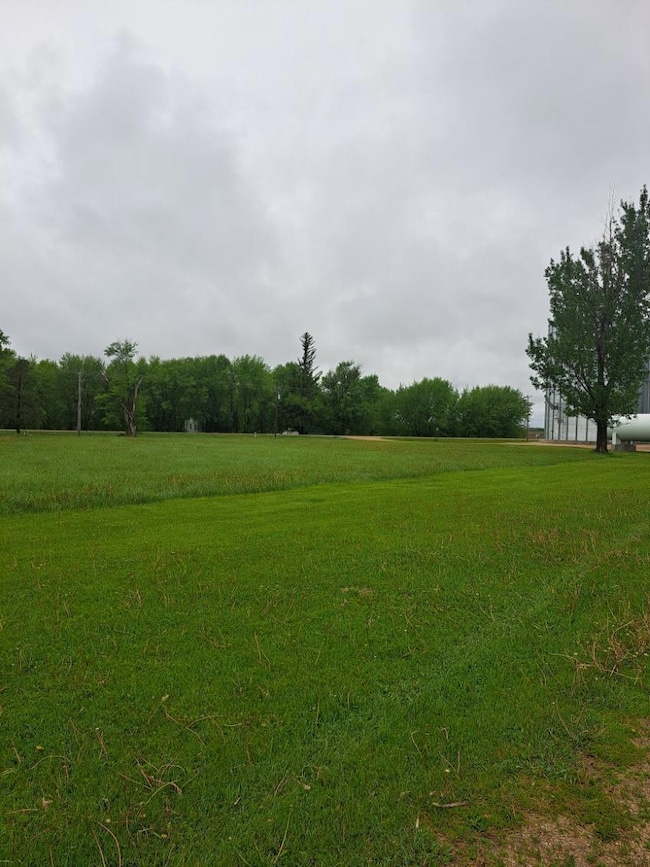 TBD S Adams St, Elkton, MN 55933 - photo 4