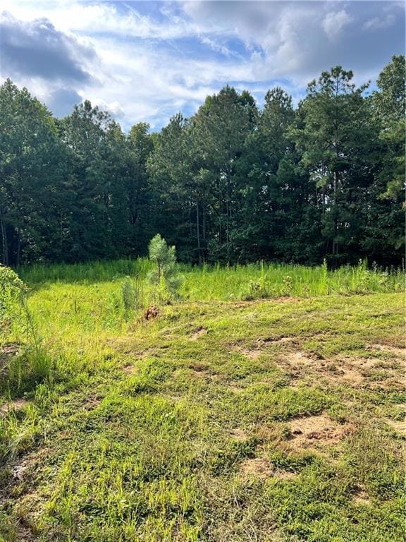 1004 Crossroads Trail, Milton, GA 30004 - photo 4