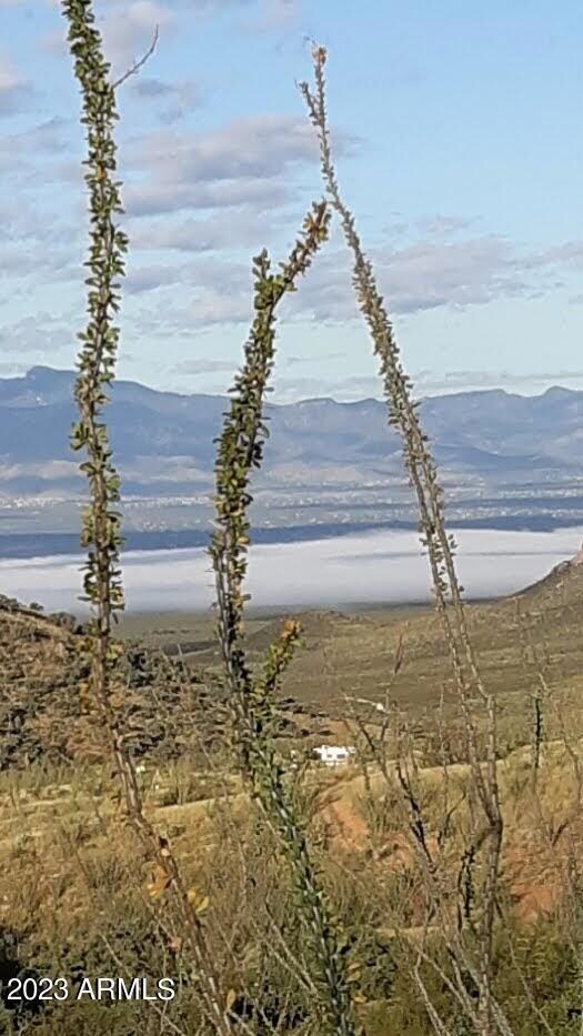 127 N Lupine Rd unit 23, Bisbee, AZ 85603 - photo 5