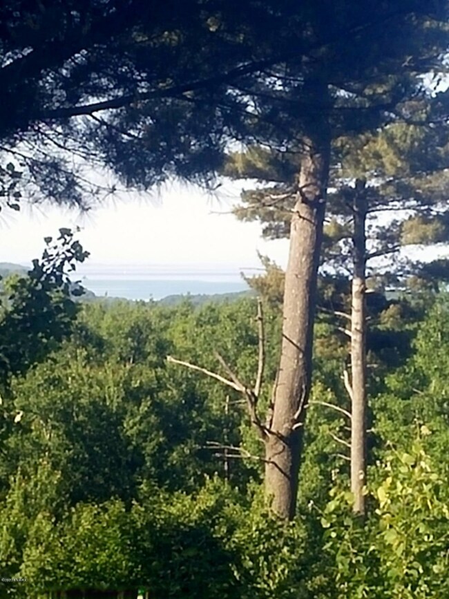 0 Starlight Ridge Cir unit Lot 55, Onekama, MI 49675 - photo 7