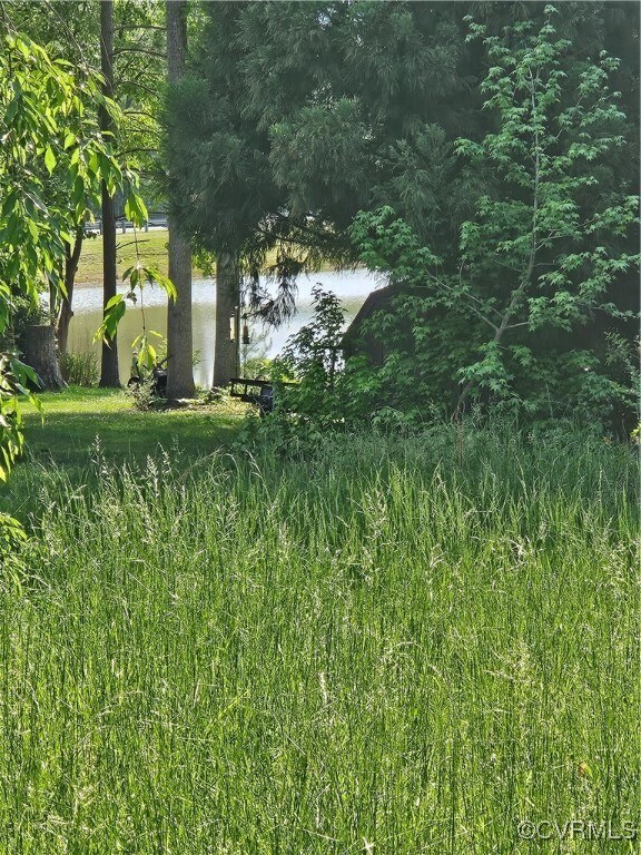 209 Remington Dr, Ruther Glen, VA 22546 - photo 2