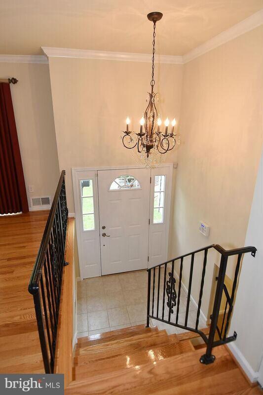 14319 Gaines Ave, Rockville, MD 20853 - photo 3