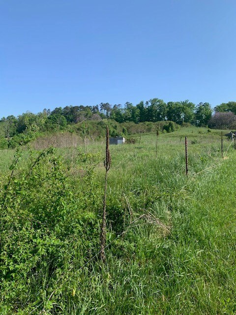 447 Tampico Rd, Rutledge, TN 37861 - photo 4