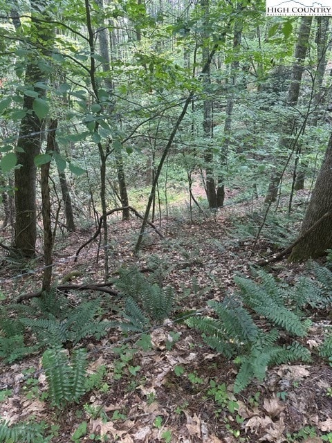 Lot 17 Sunny Ln, Crumpler, NC 28617 - photo 7