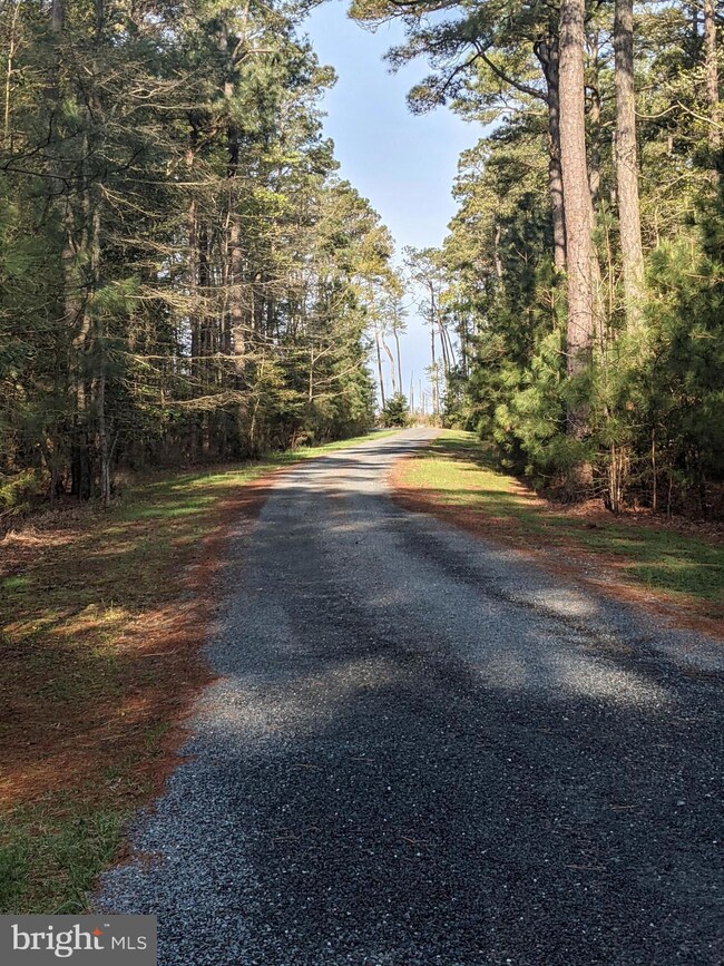 4926 Timbermarsh Ln, Woolford, MD 21677 - photo 5