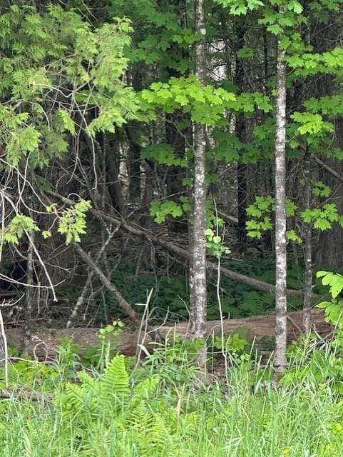 3-3-A Avenue Rd, Corinth, ME 04427 - photo 5