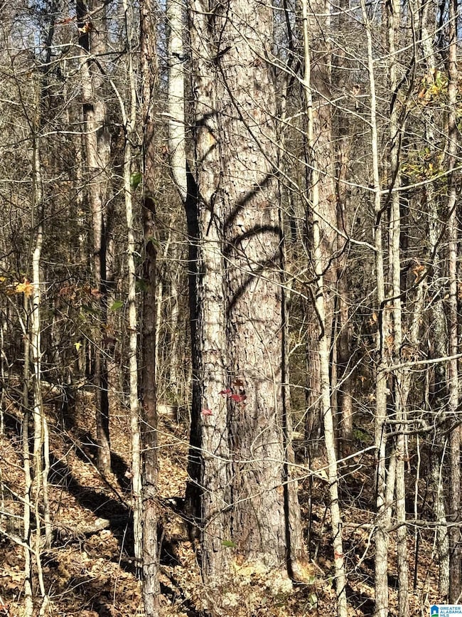 0 Arrowhead Dr unit 21437906, Delta, AL 36258 - photo 3