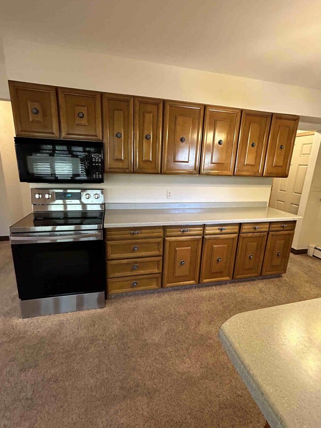 215 Main Ave N, Park Rapids, MN 56470 - photo 3