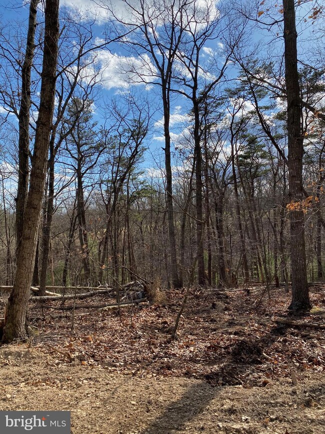 24 Pine Crest Ln, Winchester, VA 22603 - photo 5