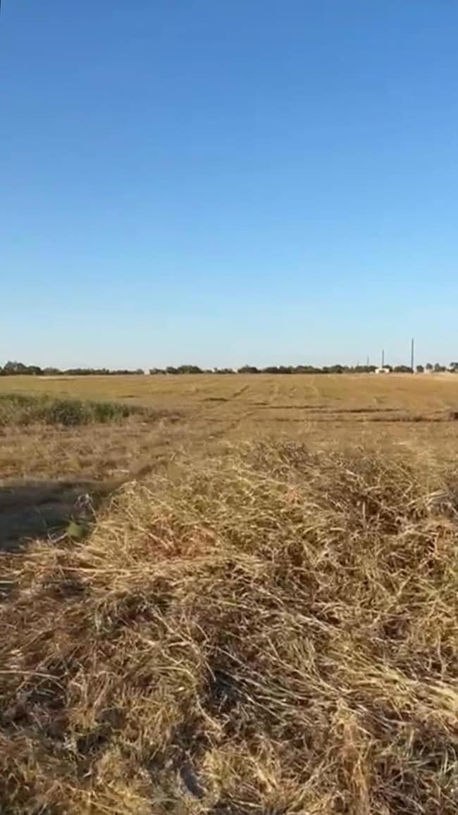 00 County Road 133 Center unit Lot 6, Ben Arnold, TX 76519 - photo 3