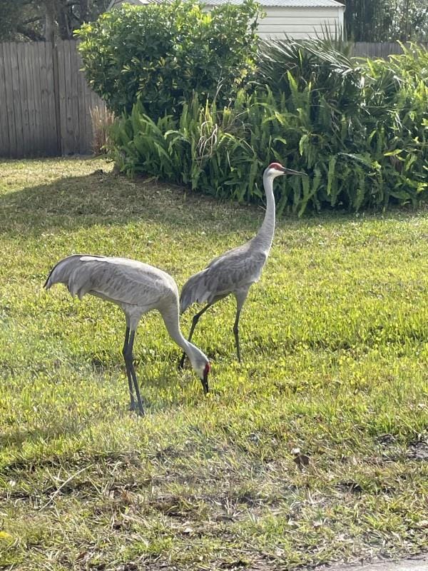 32 Fyfe Ave, Debary, FL 32713 - photo 4