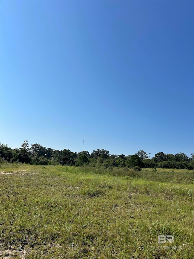 24300 Highway 41, Brewton, AL 36426 - photo 7