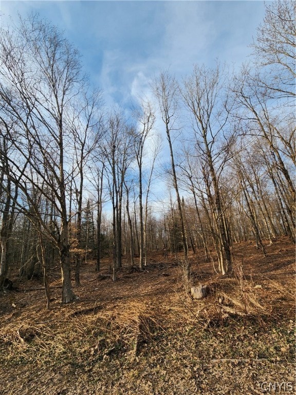 0 Jess Dr unit S1526269, Redfield, NY 13437 - photo 3