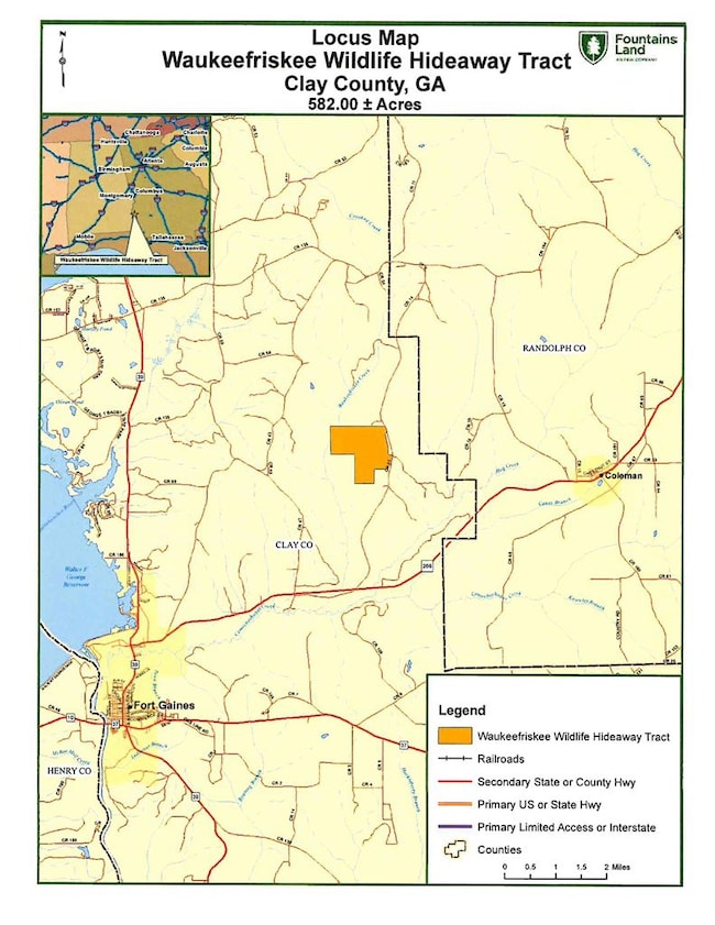 TBD Bethel Rd, Ft. Gaines, GA 39851 - photo 3