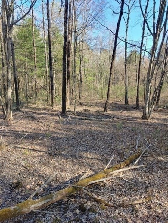 0, Charlton, MA 01507 - photo 4