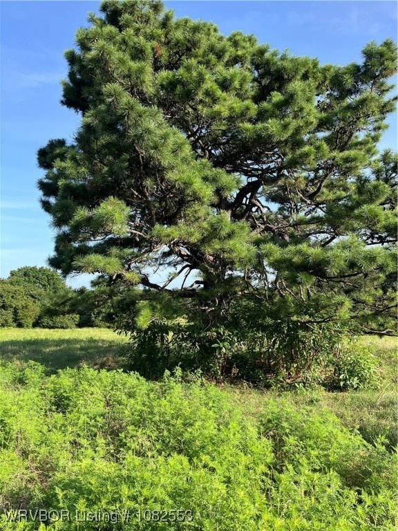 Tract 5 E1250 Rd, Whitefield, OK 74462 - photo 4