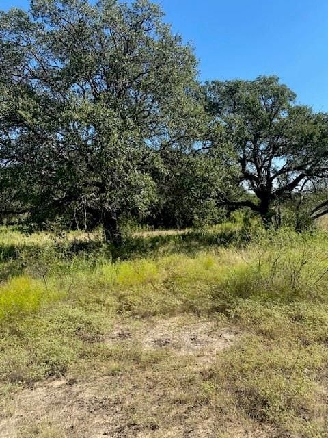 6840 County Road 327, Blanket, TX 76432 - photo 2