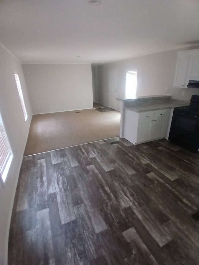 Kitchen/Livingroom View