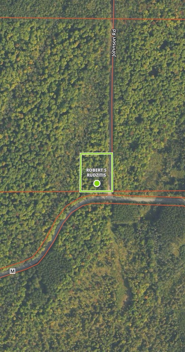 3313 Johnson Rd, Crandon, WI 54520 - photo 5