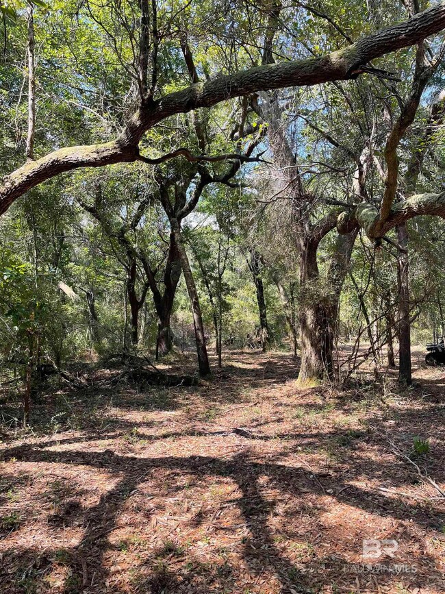 9847 County Road 99 unit Lot 8, Lillian, AL 36549 - photo 3