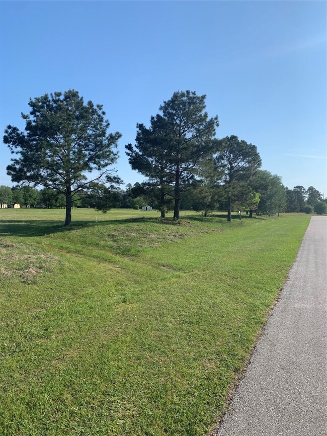 36725 Fm 1774 Rd, Magnolia, TX 77355 - photo 4