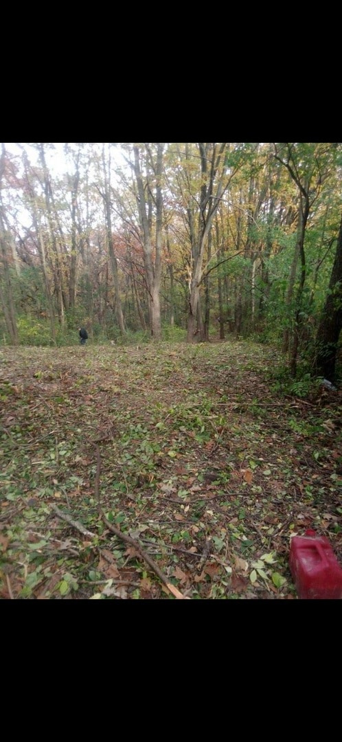 7 Autumn Trail, Barrington, IL 60010 - photo 3