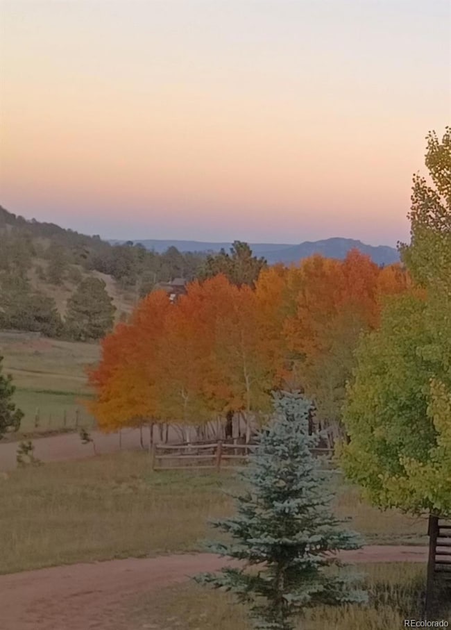 119 Quakie Way, Bailey, CO 80421 - photo 6