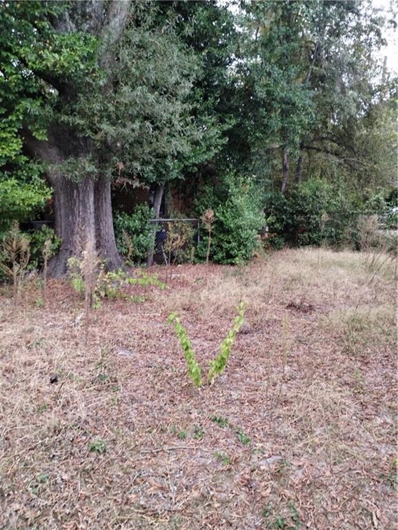 815 Edwards Ave, Macon, GA 31204 - photo 7