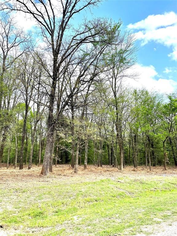 LOT 117 Watersedge Dr Bs# A37, Corsicana, TX 75109 - photo 4