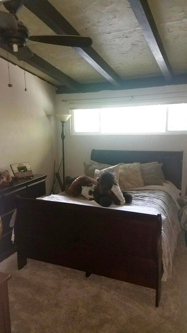 1555 Mesa Hall Bedroom 1