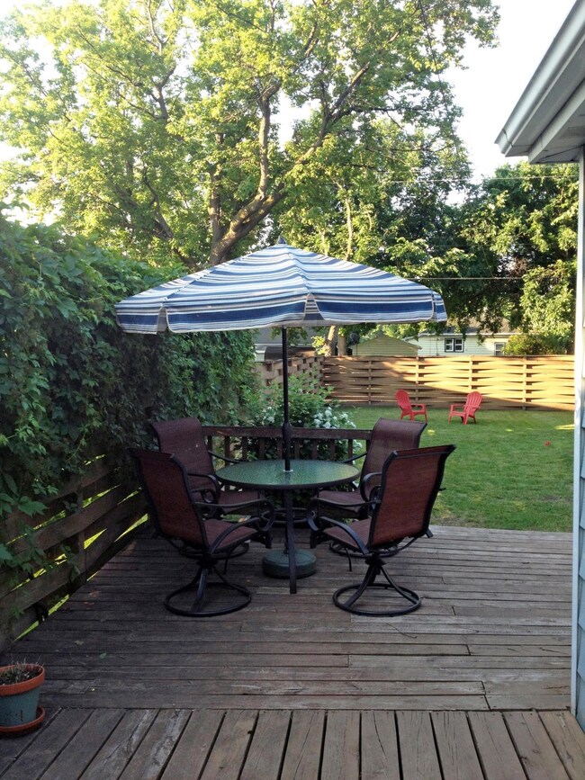 backyard2